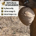 waps_4.webp